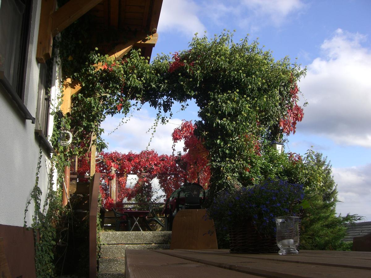 Hotel Dachsberger-Hof Wittenschwand Dış mekan fotoğraf
