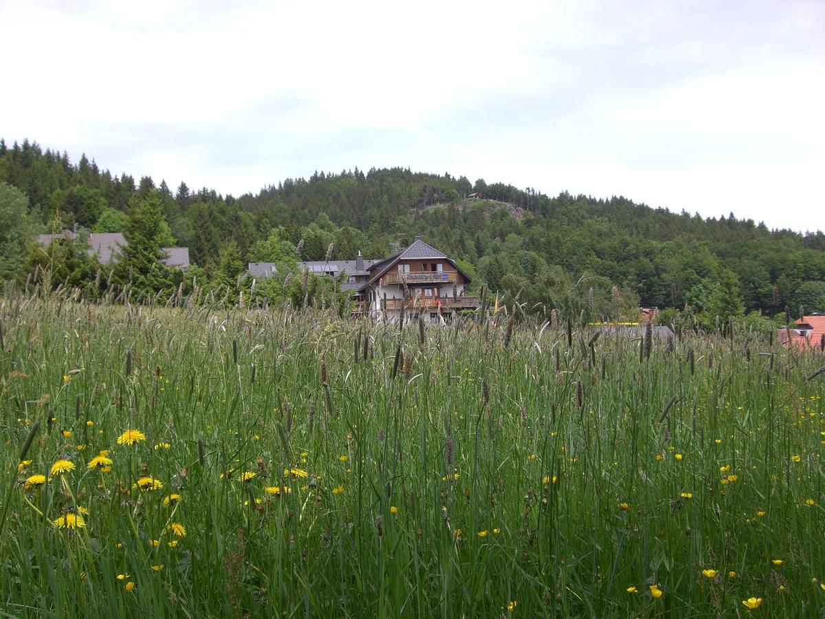 Hotel Dachsberger-Hof Wittenschwand Dış mekan fotoğraf